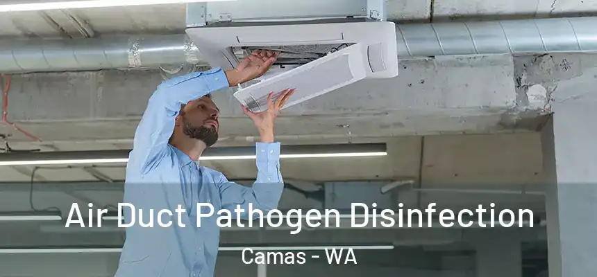  Air Duct Pathogen Disinfection Camas - WA