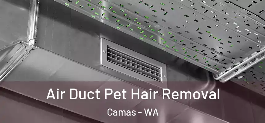 Air Duct Pet Hair Removal Camas - WA