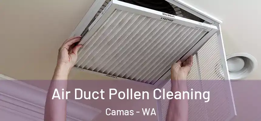 Air Duct Pollen Cleaning Camas - WA