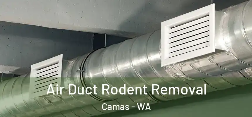 Air Duct Rodent Removal Camas - WA