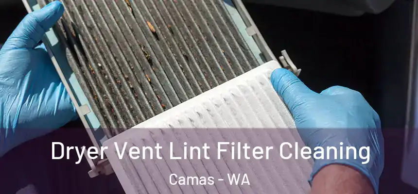  Dryer Vent Lint Filter Cleaning Camas - WA