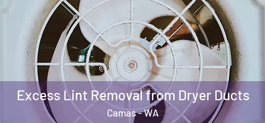 Excess Lint Removal from Dryer Ducts Camas - WA
