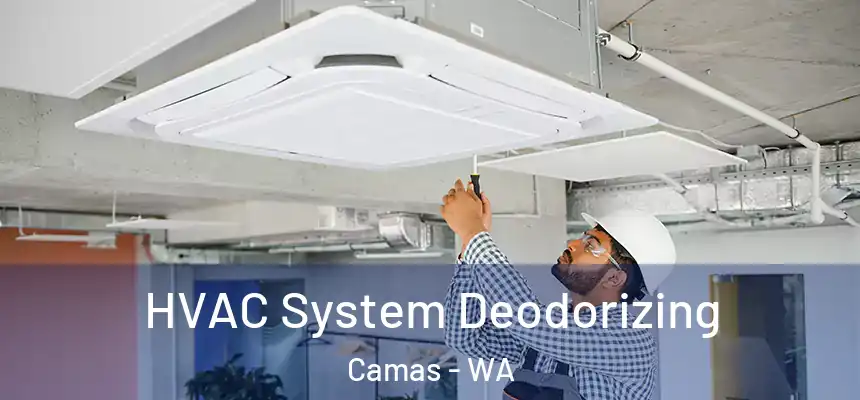  HVAC System Deodorizing Camas - WA