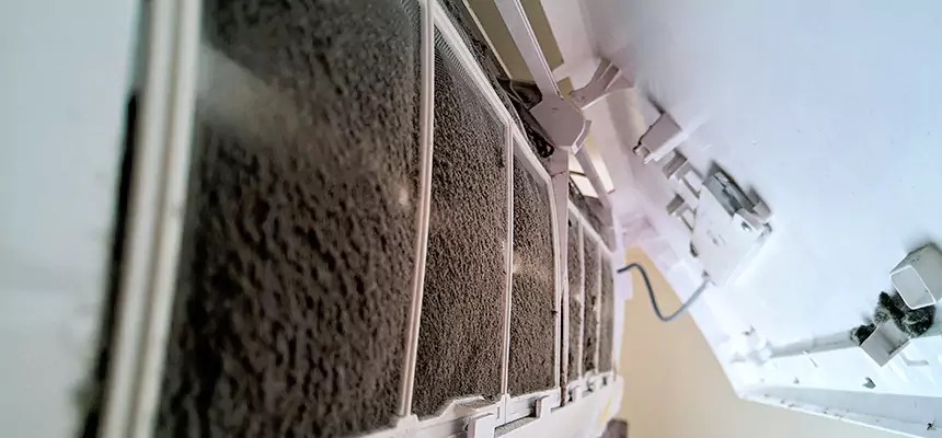 Preventive Air Duct Bacteria Removal in Camas