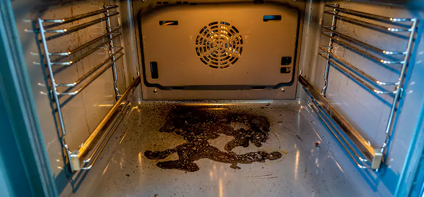 Our Dryer Vent Mold Cleaning Services in Camas, WA