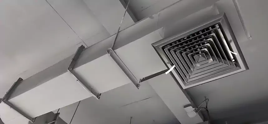 Our Pest Removal From Ducts Services in Camas, WA