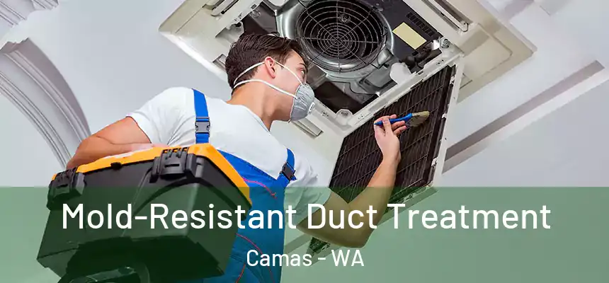 Mold-Resistant Duct Treatment Camas - WA