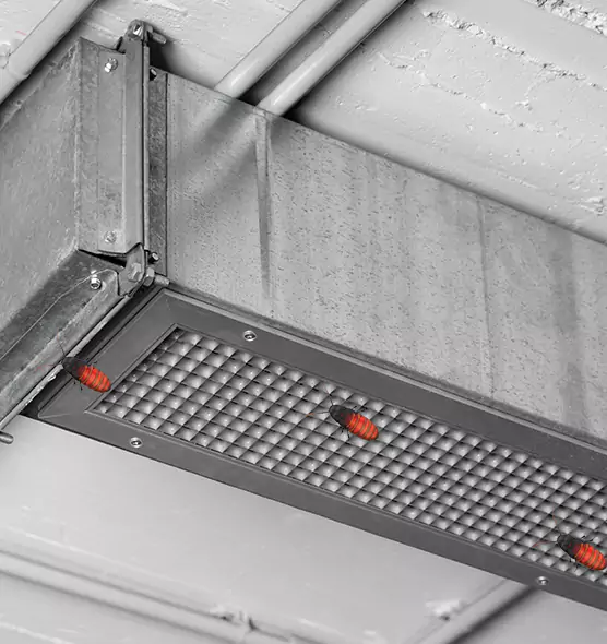 About Air Duct Cockroach Removal in Camas, WA