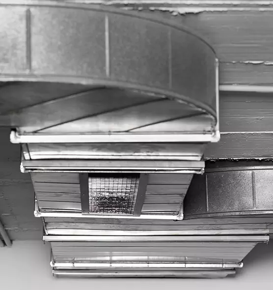 Professional Air Duct Pest Removal in Camas, WA