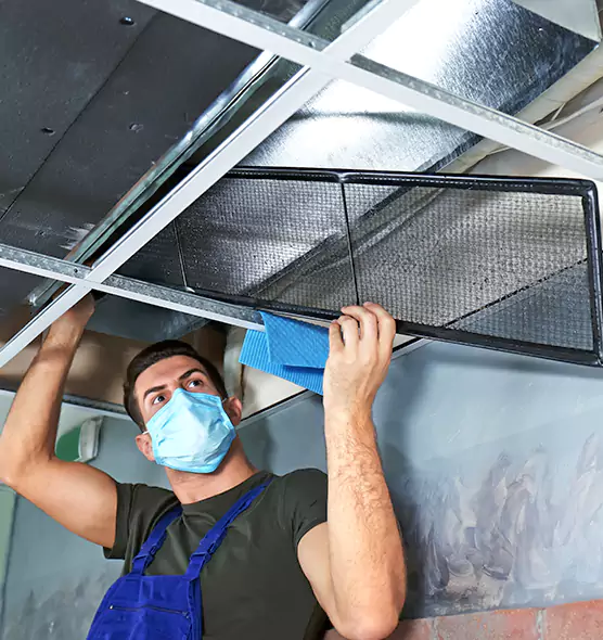Professional Air Duct Pollen Cleaning in Camas, WA