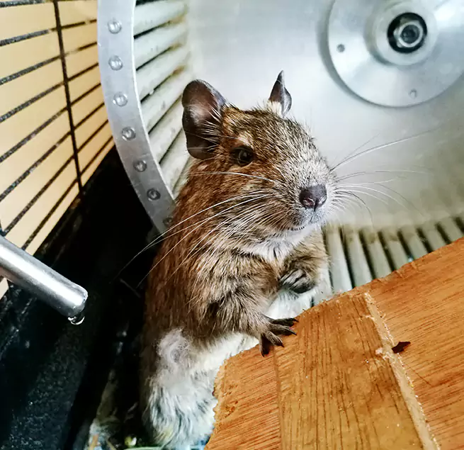 Why Homeowners & Businesses Trust Us Camas, WA