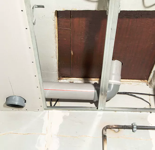 Why Homeowners & Businesses Trust Us in Camas, WA?