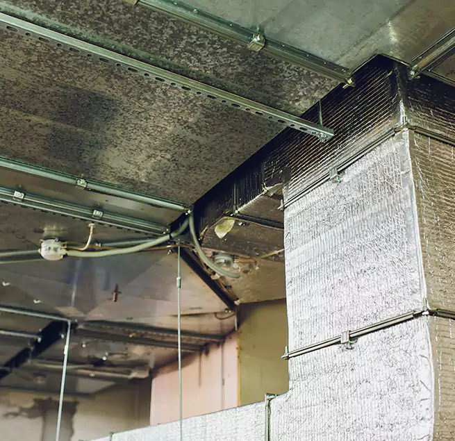 Why Homeowners & Businesses Trust Us in Camas, WA?